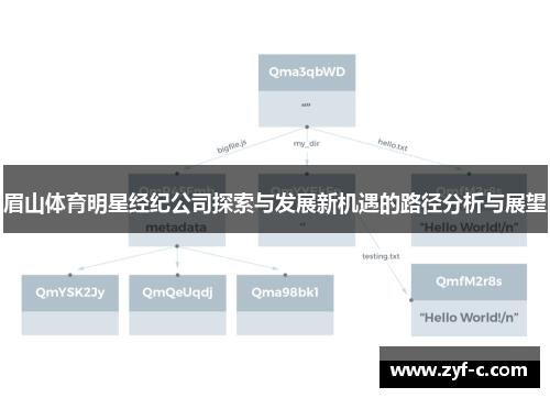 眉山体育明星经纪公司探索与发展新机遇的路径分析与展望